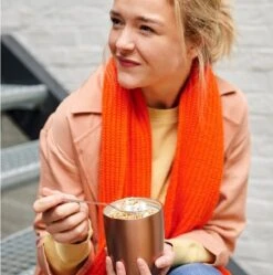 Mepal – Isoleer Lunchpot Ellipse – Houdt Je Eten 6-8 Uur Warm En 12 Uur Koud – Rose Gold – 2 Compartimenten – Soep Beker To Go – Yoghurt Beker Muesli - Thermos Lunchbox -Mepal Promos Winkel 1192x1200