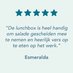 Lock&Lock Saladebox - Salade Lunchbox To Go - Salade To Go - 950 Ml - Lekvrij - Met Verdeelvakjes - Groen -Mepal Promos Winkel 1200x1200 66
