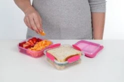 Sistema To Go Snackdoos Snack Attack Duo - Roze- 975 Ml -Mepal Promos Winkel 1200x799 5