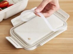 BentoBros® Duurzame Bento Box - Broodtrommel - Lunchtrommel - Lunchbox - Lunchset Voor Kinderen - Brooddoos - Duurzaam Hout - Inclusief Bestek - Voor Volwassenen En Kinderen - 0,85 Liter - Geschikt Voor Magnetron, Vriezer En Vaatwasser - Beige -Mepal Promos Winkel 1200x884 3